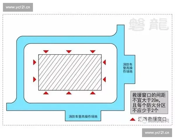 体育比赛规则制定的原则与流程探讨及其对公平竞争的影响